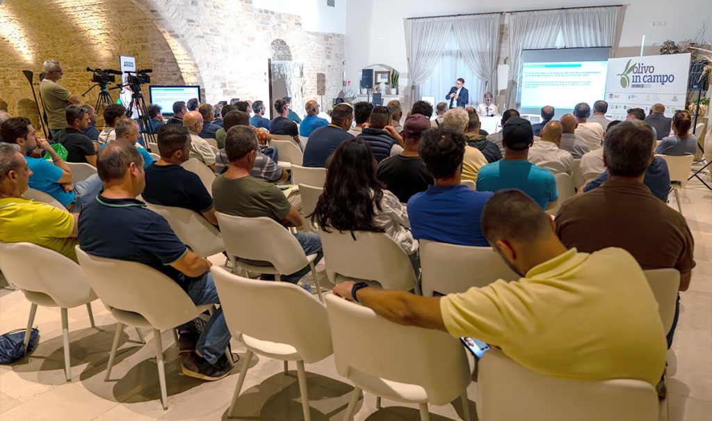Olivo in Campo 2023 - Galleria