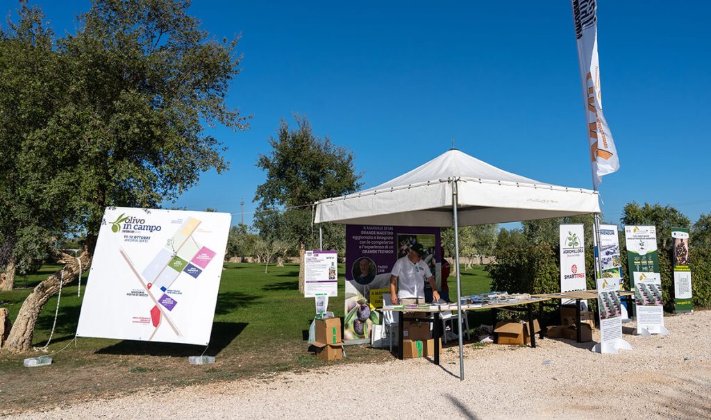 Olivo in Campo 2023 - Galleria