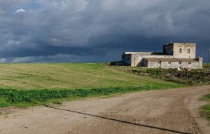 Azienda Fratelli Ferrara - Location 2024
