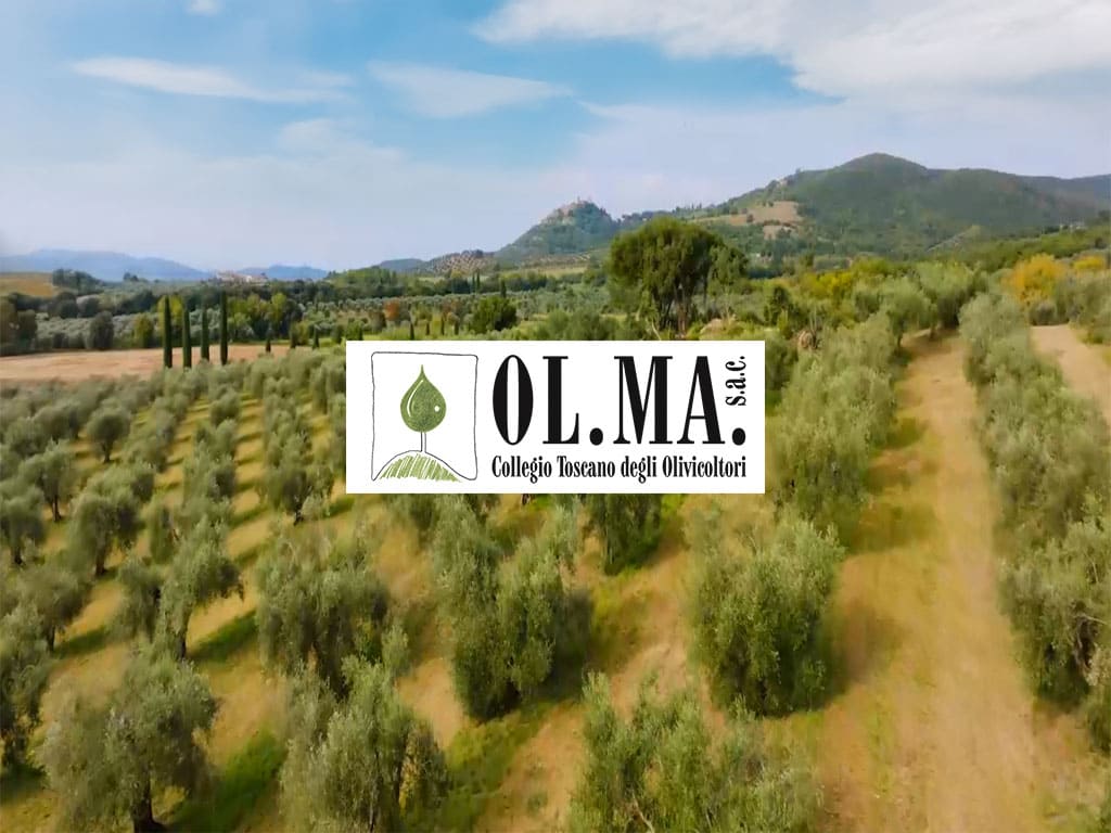 Immagine di copertina di della presentazione di Ol.Ma.